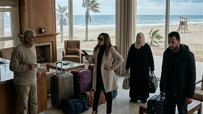 عش الدبابير في هدوء الساحل